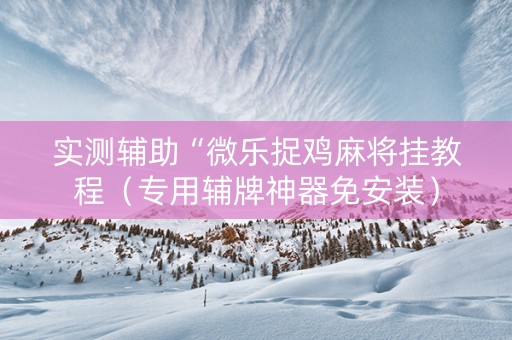 实测辅助“微乐捉鸡麻将挂教程（专用辅牌神器免安装）