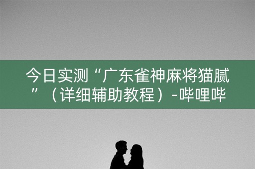今日实测“广东雀神麻将猫腻”（详细辅助教程）-哔哩哔哩