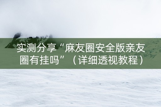 实测分享“麻友圈安全版亲友圈有挂吗”（详细透视教程）-哔哩哔哩
