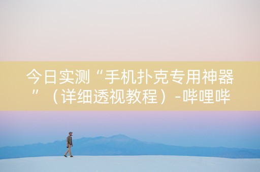 今日实测“手机扑克专用神器”（详细透视教程）-哔哩哔哩