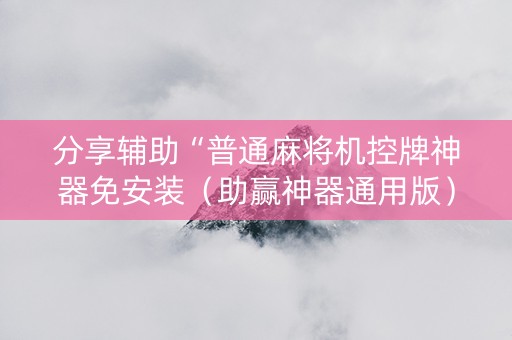 分享辅助“普通麻将机控牌神器免安装（助赢神器通用版）