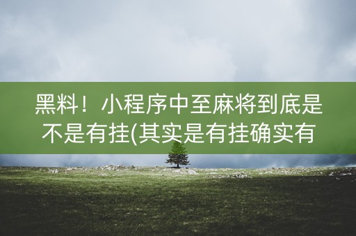 黑料！小程序中至麻将到底是不是有挂(其实是有挂确实有挂)