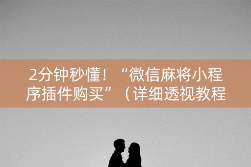 2分钟秒懂！“微信麻将小程序插件购买”（详细透视教程）-哔哩哔哩