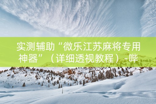 实测辅助“微乐江苏麻将专用神器”（详细透视教程）-哔哩哔哩