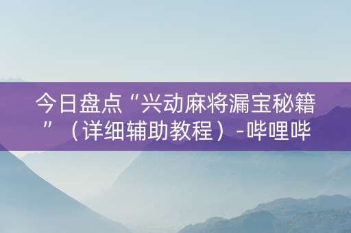 今日盘点“兴动麻将漏宝秘籍”（详细辅助教程）-哔哩哔哩