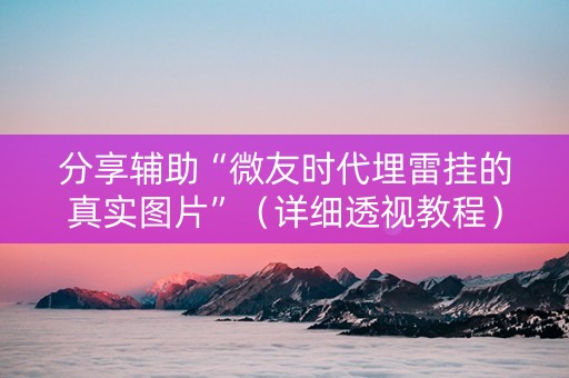 分享辅助“微友时代埋雷挂的真实图片”（详细透视教程）-哔哩哔哩