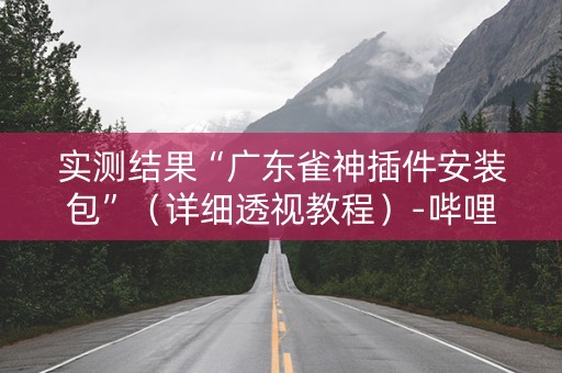 实测结果“广东雀神插件安装包”（详细透视教程）-哔哩哔哩