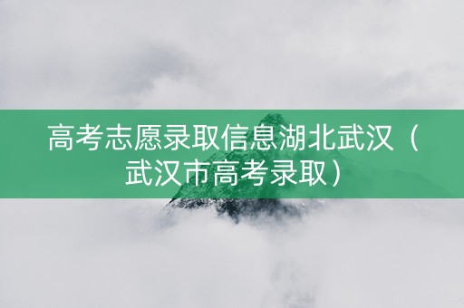 高考志愿录取信息湖北武汉（武汉市高考录取）