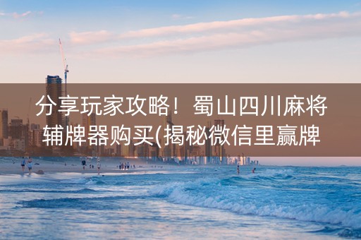 分享玩家攻略！蜀山四川麻将辅牌器购买(揭秘微信里赢牌技巧)