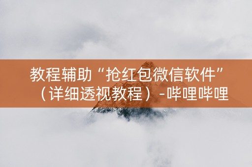 教程辅助“抢红包微信软件”（详细透视教程）-哔哩哔哩