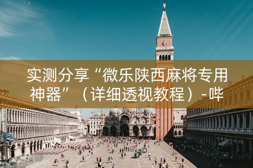 实测分享“微乐陕西麻将专用神器”（详细透视教程）-哔哩哔哩
