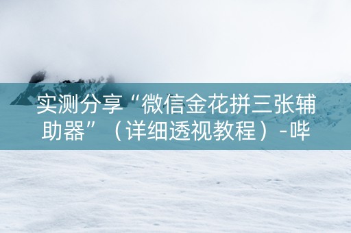 实测分享“微信金花拼三张辅助器”（详细透视教程）-哔哩哔哩