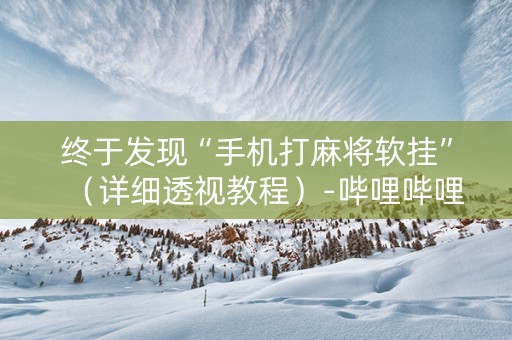 终于发现“手机打麻将软挂”（详细透视教程）-哔哩哔哩
