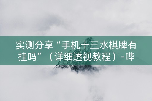 实测分享“手机十三水棋牌有挂吗”（详细透视教程）-哔哩哔哩