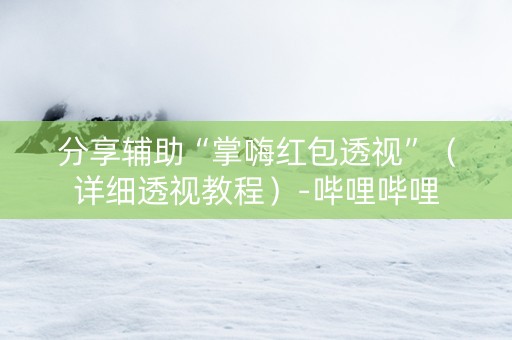分享辅助“掌嗨红包透视”（详细透视教程）-哔哩哔哩