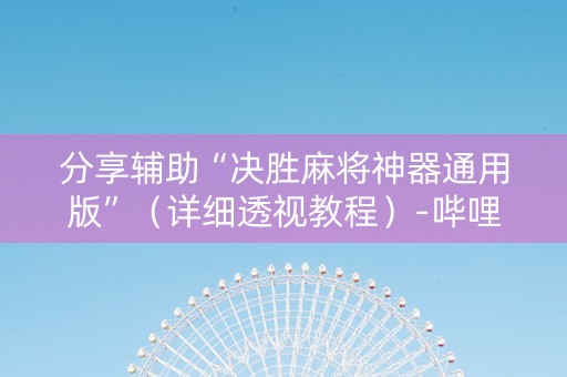 分享辅助“决胜麻将神器通用版”（详细透视教程）-哔哩哔哩