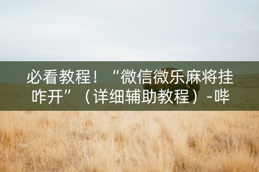 必看教程！“微信微乐麻将挂咋开”（详细辅助教程）-哔哩哔哩