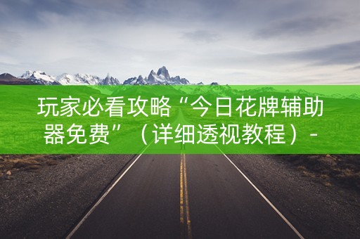 玩家必看攻略“今日花牌辅助器免费”（详细透视教程）-哔哩哔哩