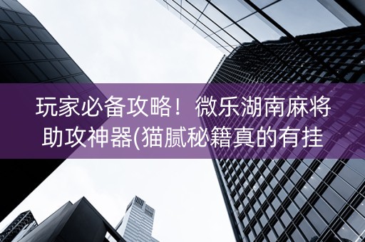玩家必备攻略！微乐湖南麻将助攻神器(猫腻秘籍真的有挂)