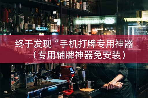 终于发现“手机打牌专用神器（专用辅牌神器免安装）