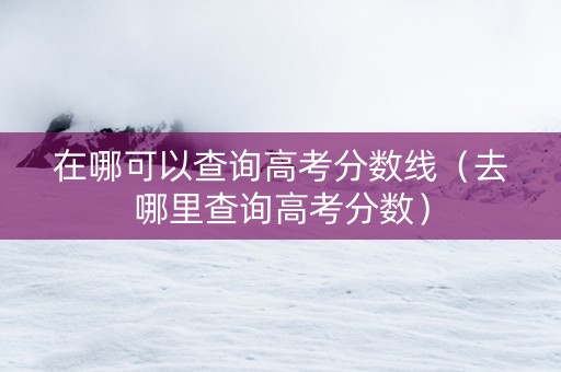在哪可以查询高考分数线（去哪里查询高考分数）