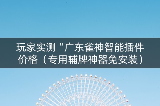 玩家实测“广东雀神智能插件价格（专用辅牌神器免安装）