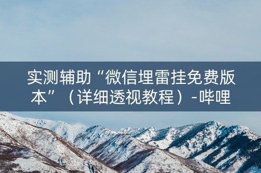 实测辅助“微信埋雷挂免费版本”（详细透视教程）-哔哩哔哩