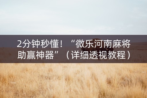 2分钟秒懂！“微乐河南麻将助赢神器”（详细透视教程）-哔哩哔哩
