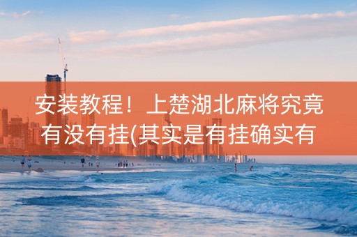 安装教程！上楚湖北麻将究竟有没有挂(其实是有挂确实有挂)