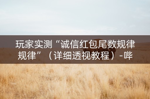 玩家实测“诚信红包尾数规律规律”（详细透视教程）-哔哩哔哩