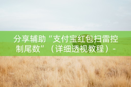 分享辅助“支付宝红包扫雷控制尾数”（详细透视教程）-哔哩哔哩