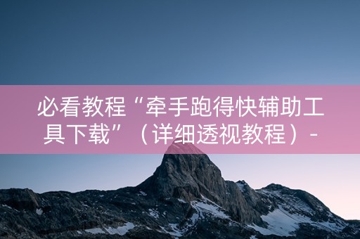 必看教程“牵手跑得快辅助工具下载”（详细透视教程）-哔哩哔哩