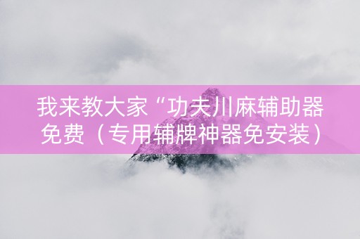 我来教大家“功夫川麻辅助器免费（专用辅牌神器免安装）