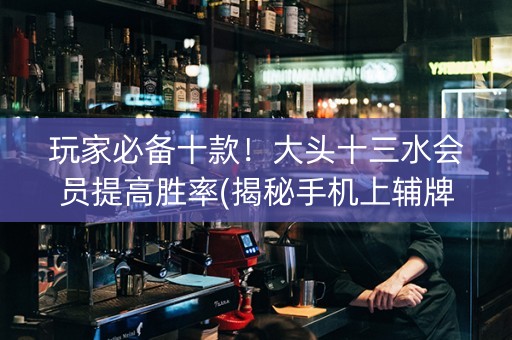 玩家必备十款！大头十三水会员提高胜率(揭秘手机上辅牌器)
