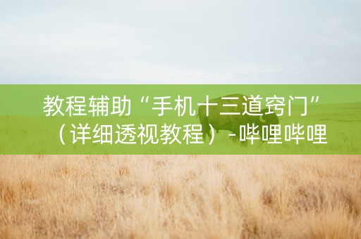 教程辅助“手机十三道窍门”（详细透视教程）-哔哩哔哩