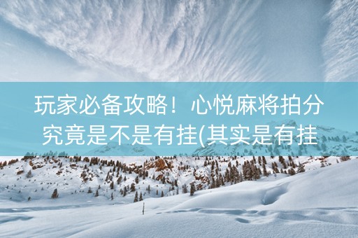 玩家必备攻略！心悦麻将拍分究竟是不是有挂(其实是有挂的)