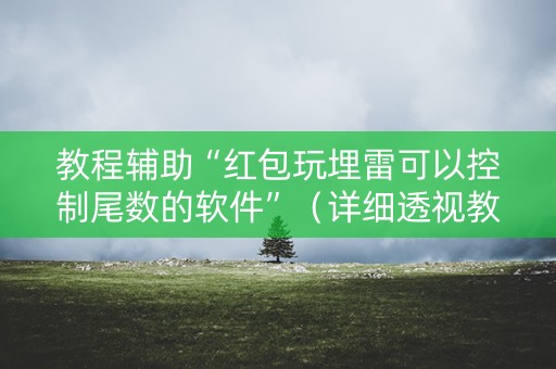 教程辅助“红包玩埋雷可以控制尾数的软件”（详细透视教程）-哔哩哔哩