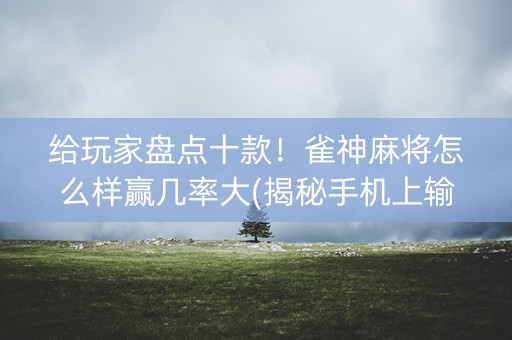 给玩家盘点十款！雀神麻将怎么样赢几率大(揭秘手机上输赢技巧)