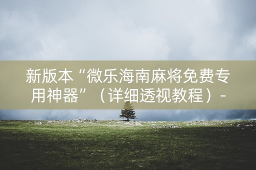 新版本“微乐海南麻将免费专用神器”（详细透视教程）-哔哩哔哩