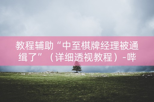 教程辅助“中至棋牌经理被通缉了”（详细透视教程）-哔哩哔哩