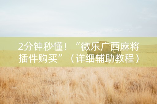 2分钟秒懂！“微乐广西麻将插件购买”（详细辅助教程）-哔哩哔哩