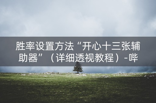 胜率设置方法“开心十三张辅助器”（详细透视教程）-哔哩哔哩