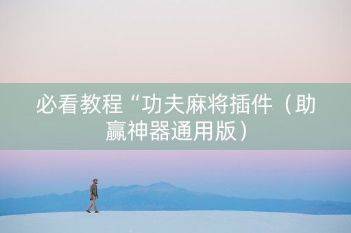 必看教程“功夫麻将插件（助赢神器通用版）