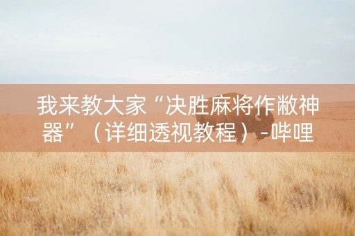 我来教大家“决胜麻将作敝神器”（详细透视教程）-哔哩哔哩