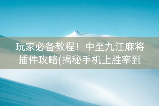 玩家必备教程！中至九江麻将插件攻略(揭秘手机上胜率到哪调)