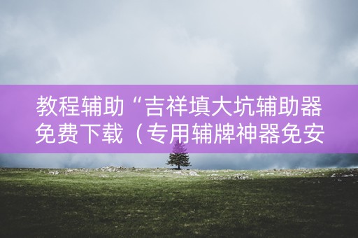 教程辅助“吉祥填大坑辅助器免费下载（专用辅牌神器免安装）