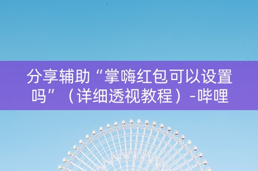 分享辅助“掌嗨红包可以设置吗”（详细透视教程）-哔哩哔哩