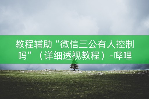 教程辅助“微信三公有人控制吗”（详细透视教程）-哔哩哔哩