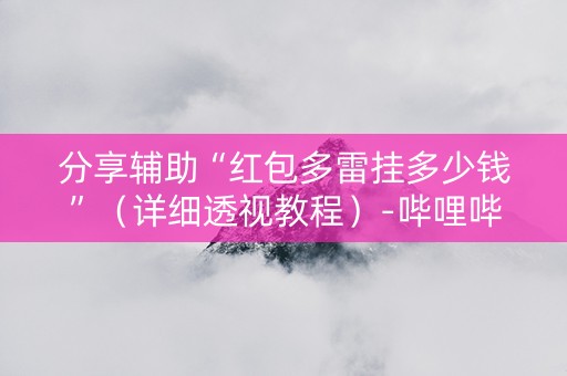 分享辅助“红包多雷挂多少钱”（详细透视教程）-哔哩哔哩