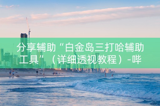 分享辅助“白金岛三打哈辅助工具”（详细透视教程）-哔哩哔哩